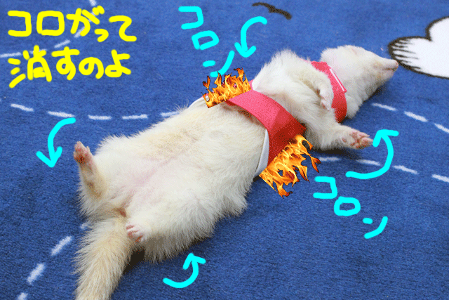 141218e.gif