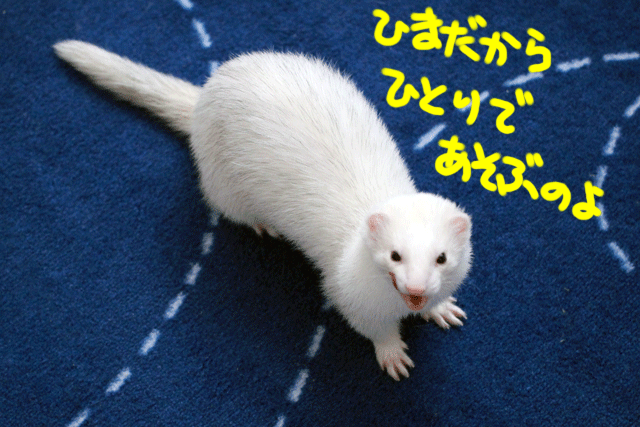 141220a.gif