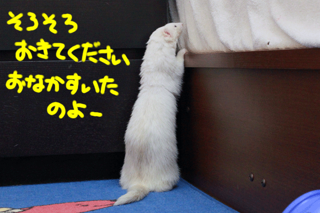 141220b.gif