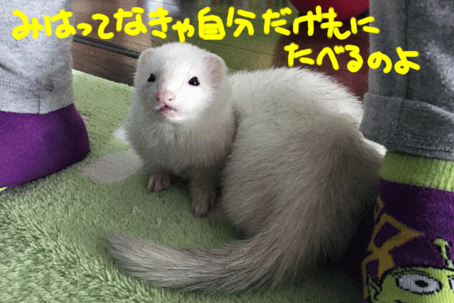 141220c.gif