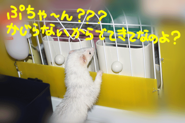 141221a.gif
