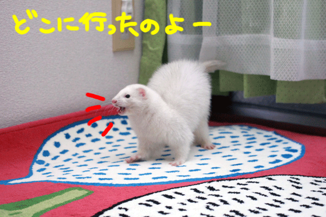 141221b.gif