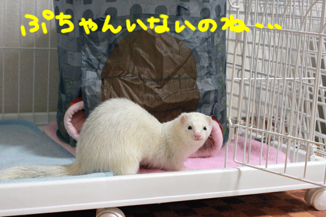 141221c.gif