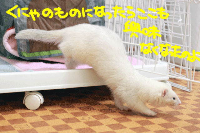 141221d.gif
