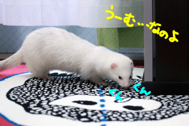 141221e.gif