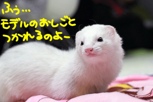 141222a.gif