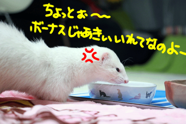 141222b.gif