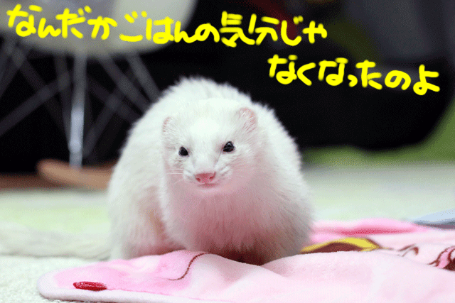 141222c.gif