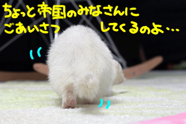 141222d.gif