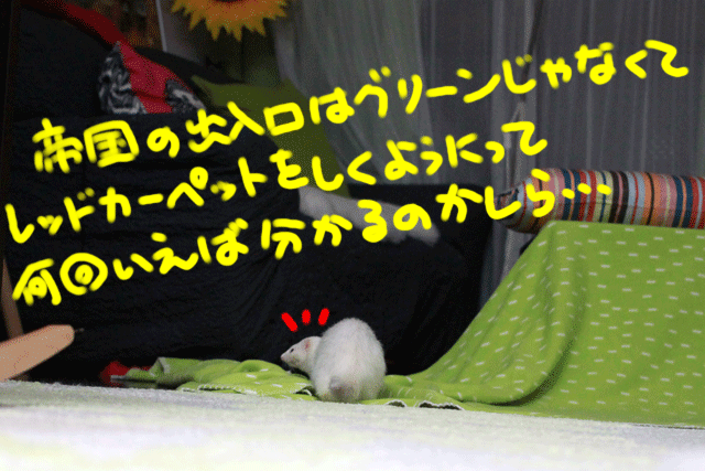 141222e.gif