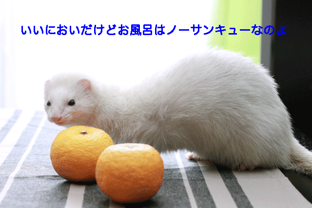 141223b.gif