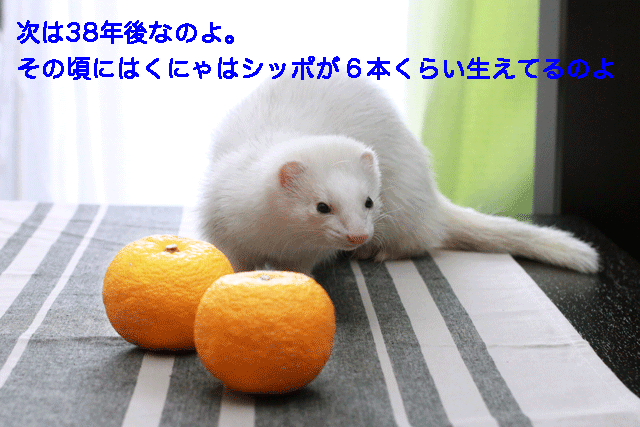 141223c.gif