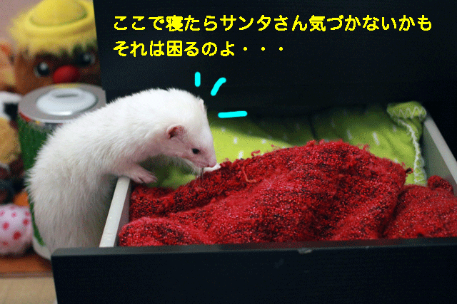 141224b.gif