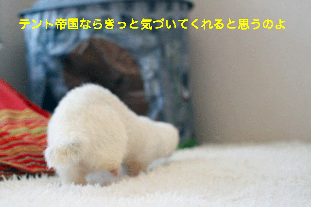 141224c.gif