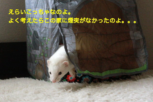 141224f.gif