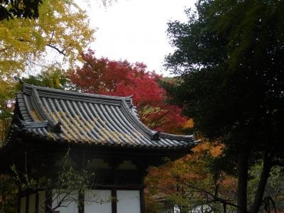 バス三溪園縮小3