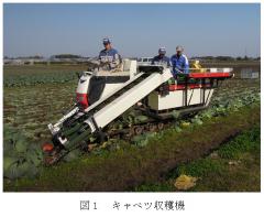 キャベツ収穫マシン