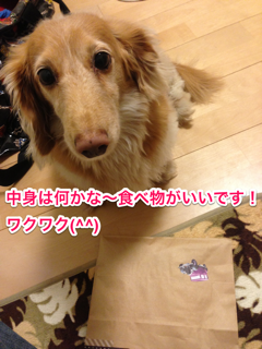 写真 (9)