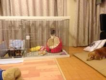 蜀咏悄+(15)_convert_20130316120351