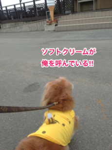 蜀咏悄+Skitch+繧ュ繝」繝ウ繝舌せ+(10)_convert_20130602234114