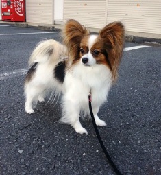 20120806_061832 - コピー - コピー