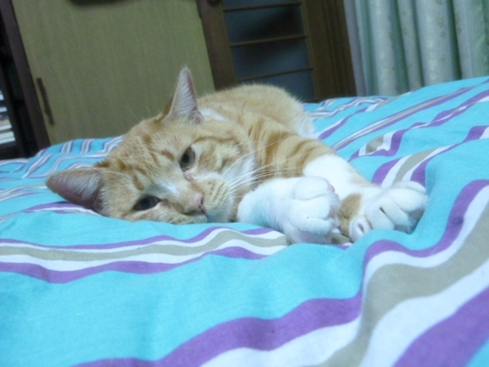 2012_04_22_06.jpg