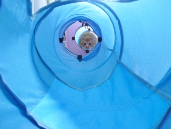 2012_05_03_07.jpg
