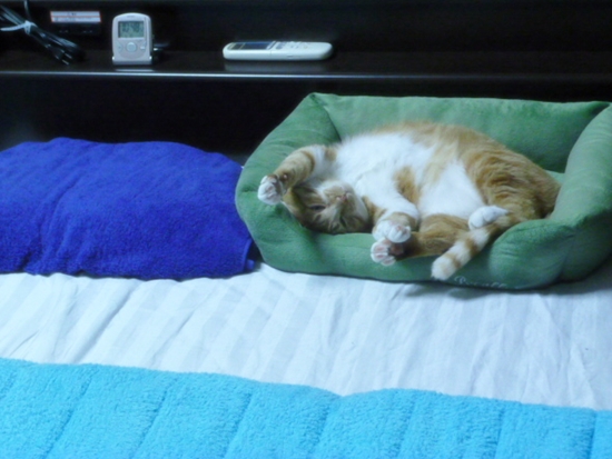 2012_05_12_05.jpg