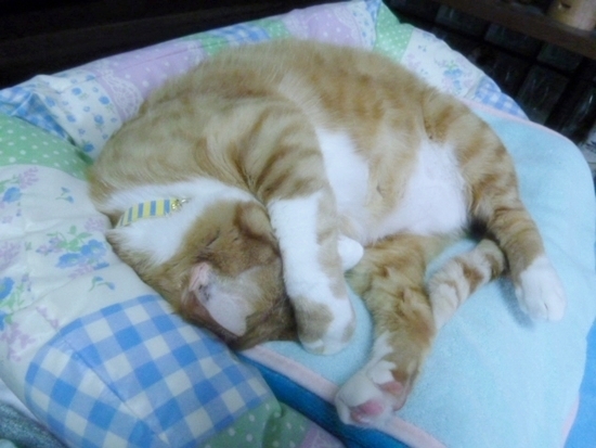 2012_06_16_03.jpg