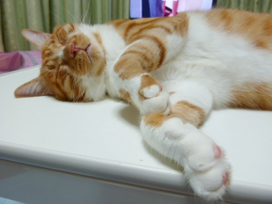 2012_07_15_05.jpg