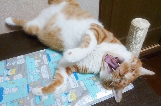 2012_07_22_04.jpg