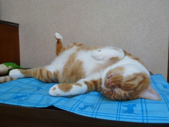 2012_08_22_04.jpg
