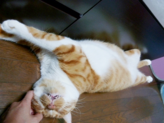 2012_09_01_03.jpg