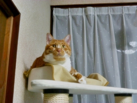 2012_10_27_04.jpg