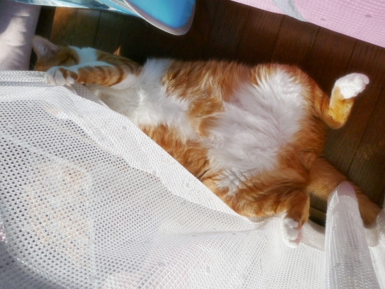 2012_12_30_03.jpg