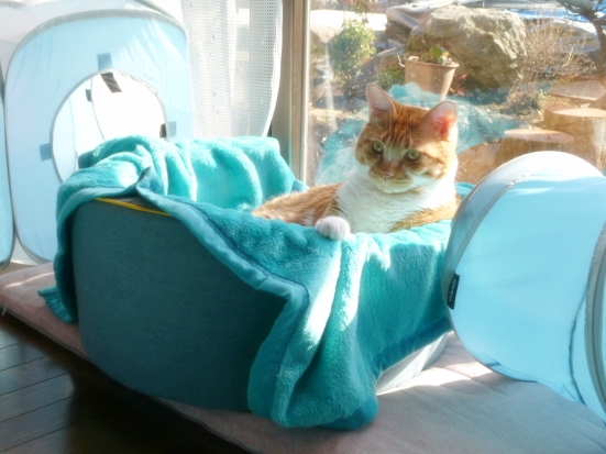 2012_12_30_05.jpg