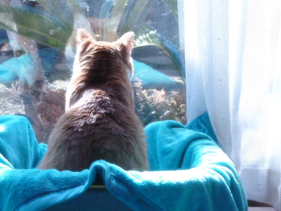 2012_12_30_08.jpg