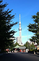 タワー
