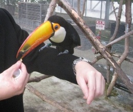 IMG_3826_large.jpg