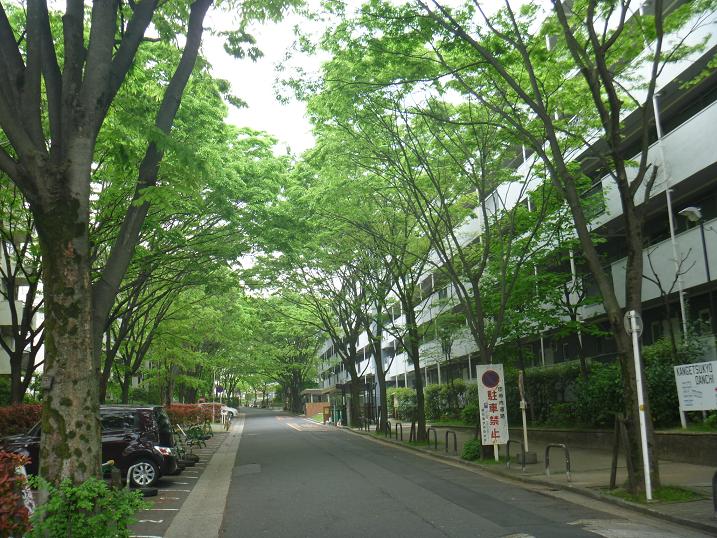 50年目の観月橋団地1