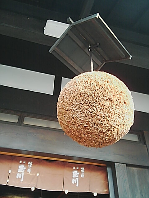 玉川 (1)