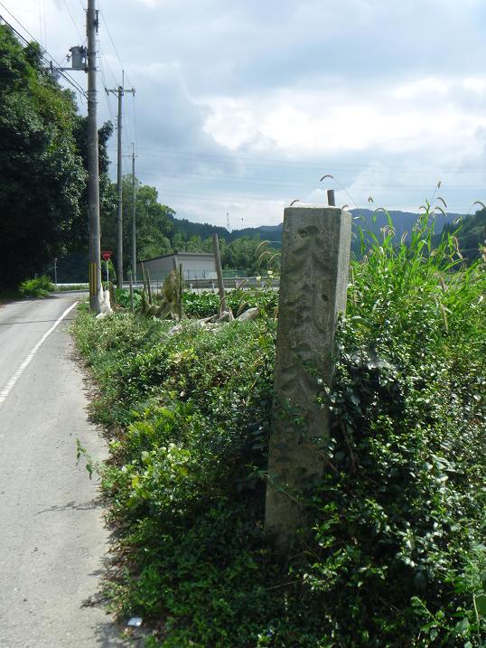2_20120926122451.jpg