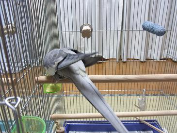 taro120925 154 2