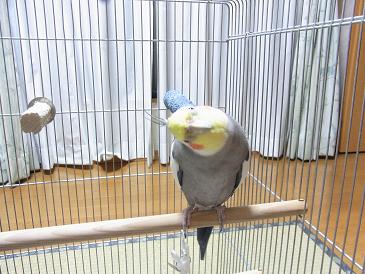 taro120925 151 2