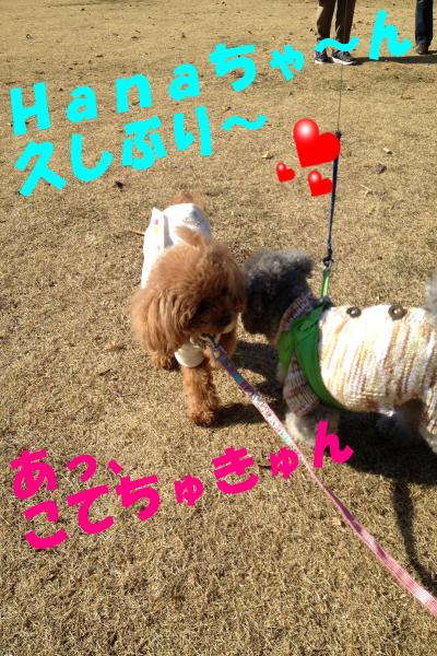 006_convert_20121230224354.jpg
