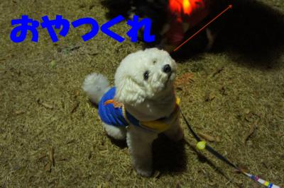 DSC07298_convert_20130107223329.jpg