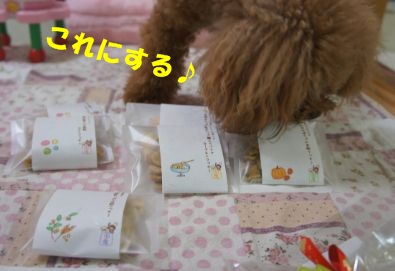 WS000032.jpg