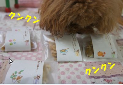 WS000033.jpg