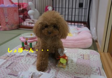 WS000040.jpg