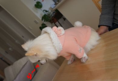 WS000058.jpg